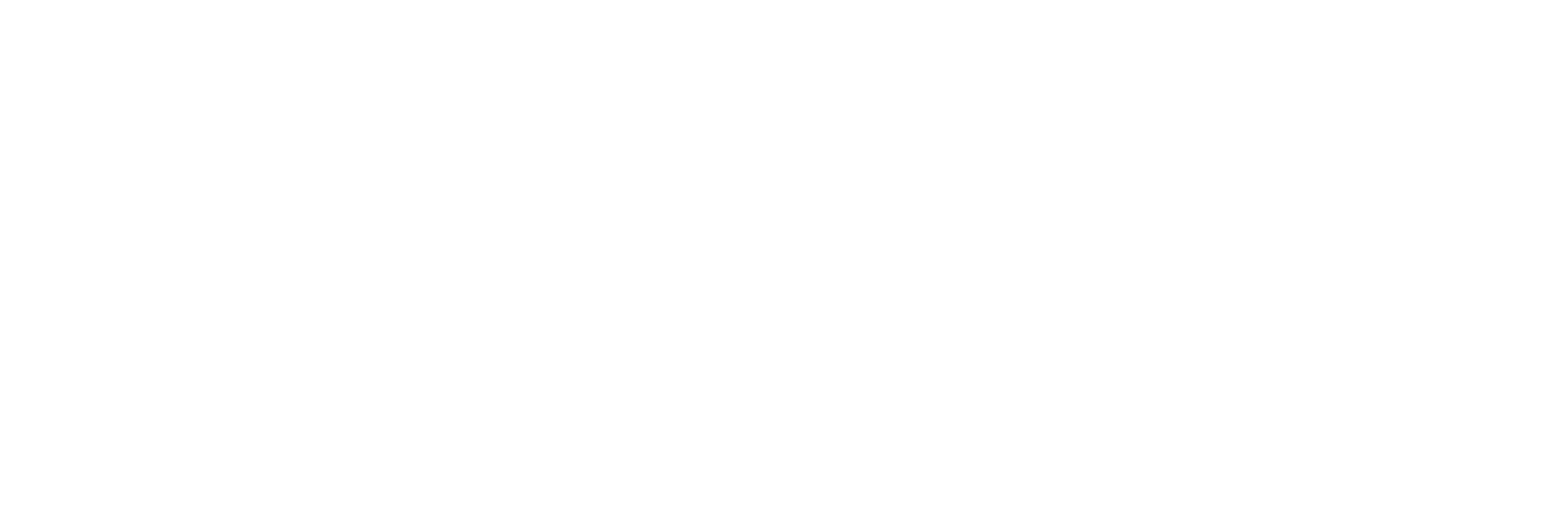 BridgePortal